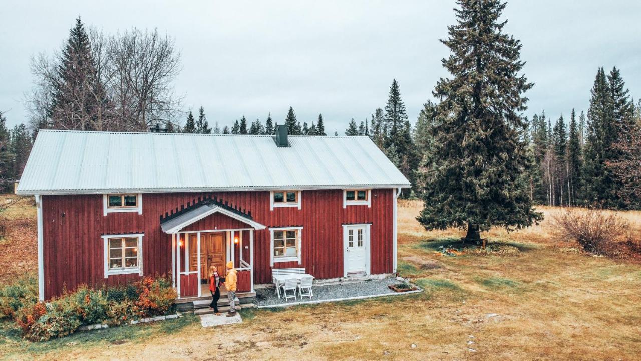 Taiga Forest Lodge Gällivare Екстериор снимка